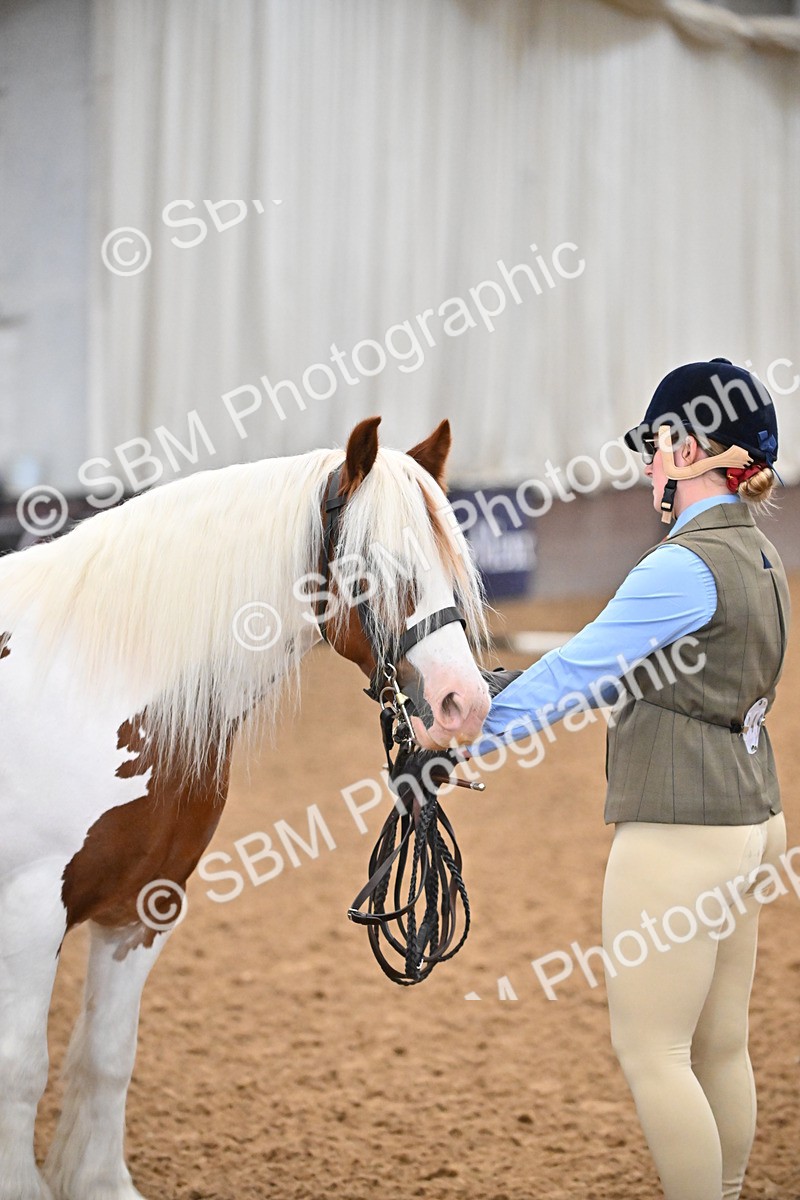 SBM_000031 - Class 1 - In Hand Cob