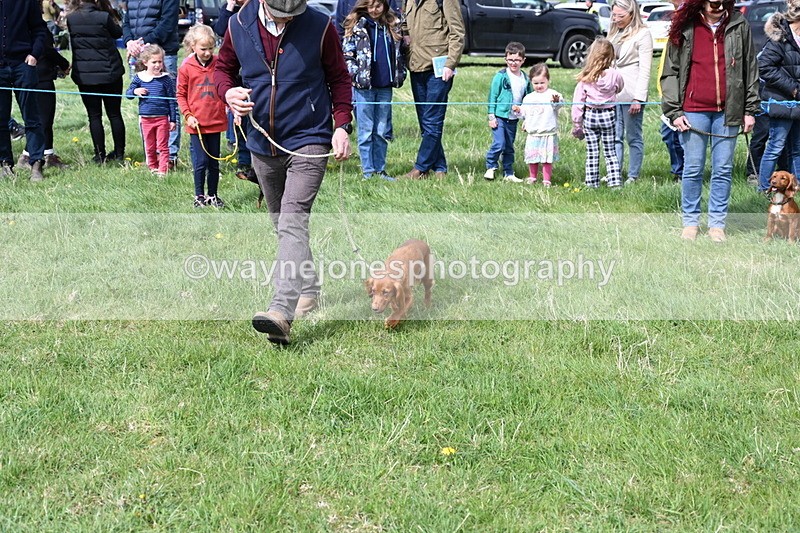 WJ6_8322 - Class 4 Prettiest Bitch