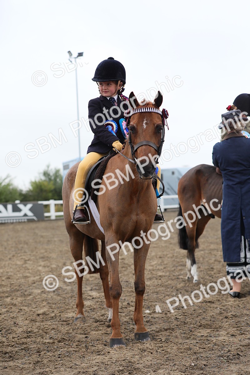 SBM_21885 - Class 806 - Young ridder 10 Yr & Under