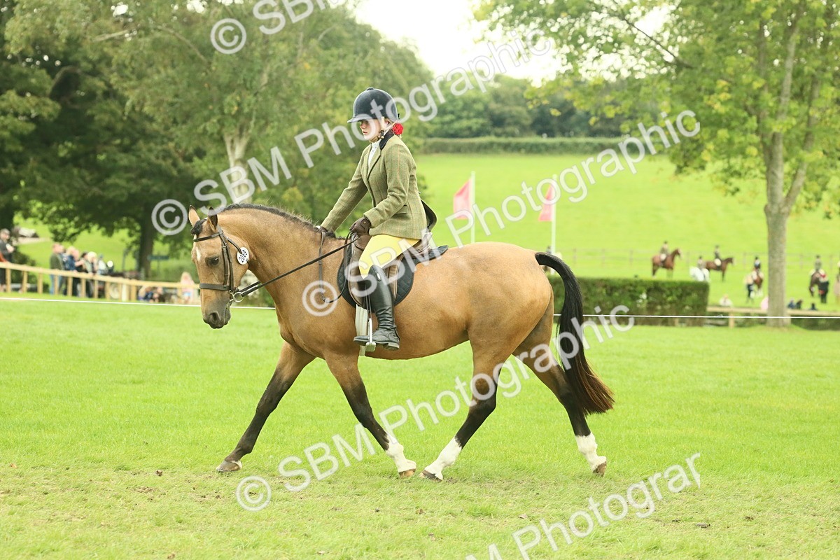 SBM_73956 - S 61 - Show Pony & Show Hunter Pony Ridden