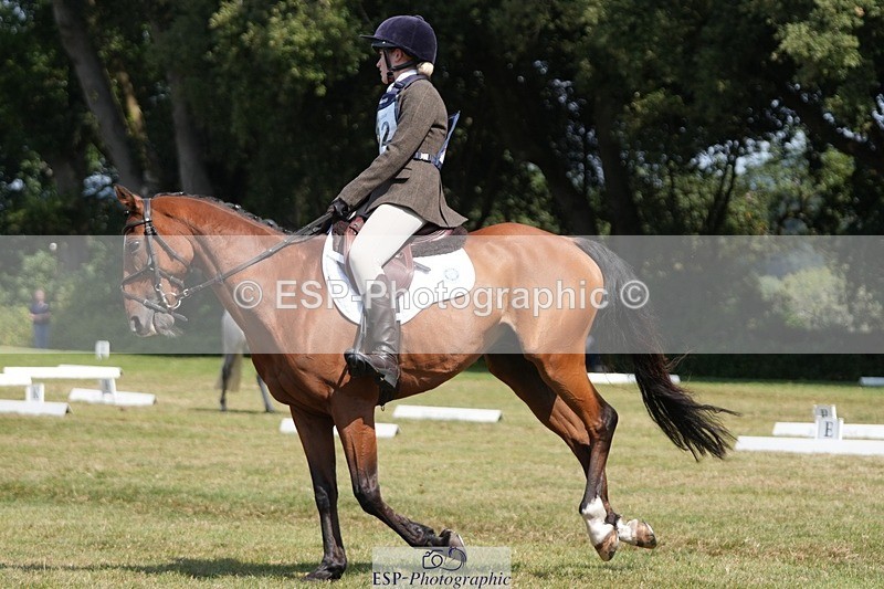 250823A-132420-31022 - Arena B