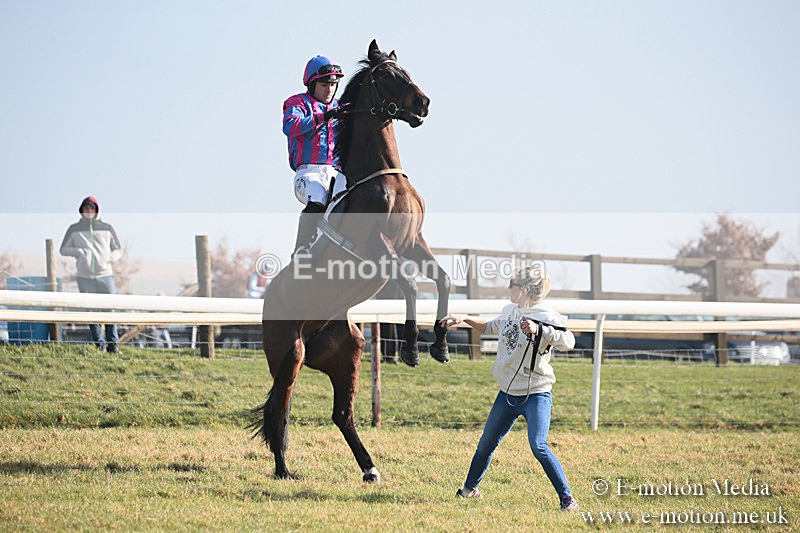 PtP 230219 13 - Vine & Craven Point-To-Point - Barbury 23/02/19