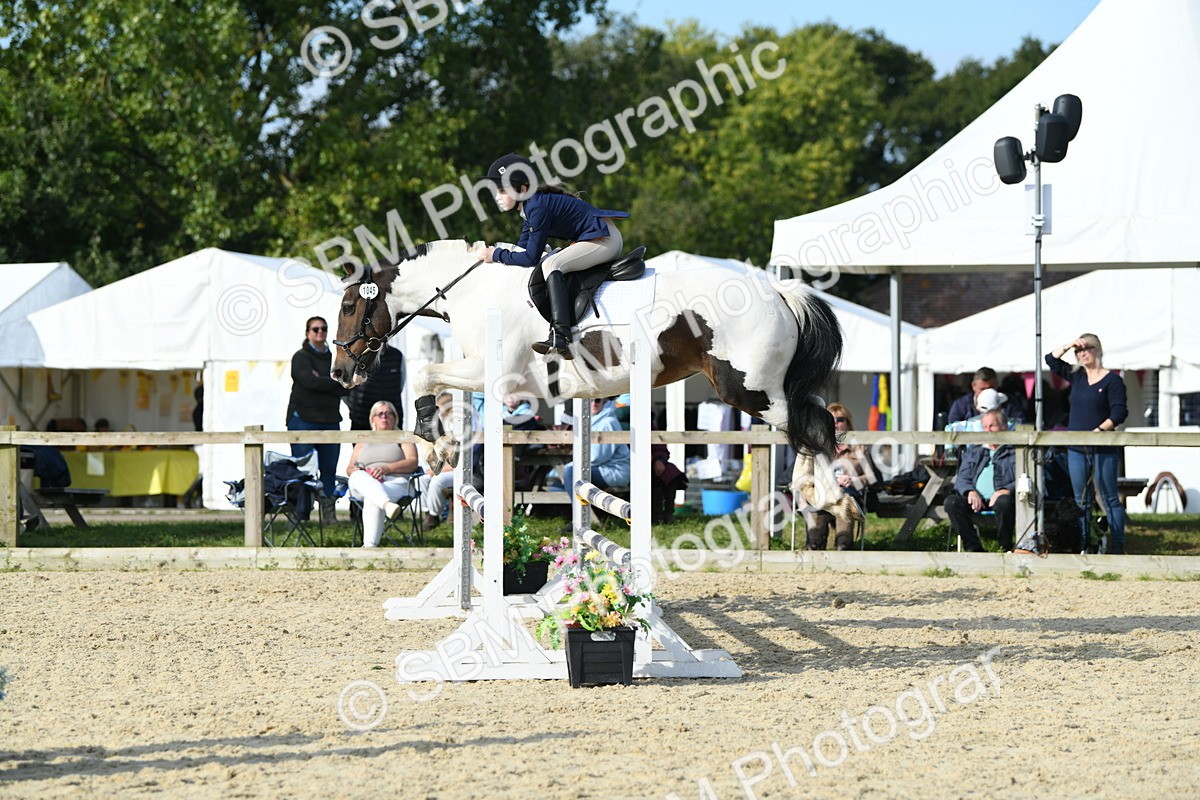 SBM_60701 - j25 - Junior Horse 80cm Championship