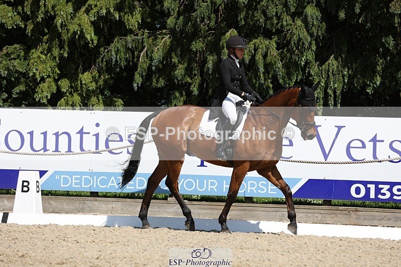 230526-150225-06606 - 377-GOLD_NUGGET-Jillian_Giessen-WEDTrotUp+DR