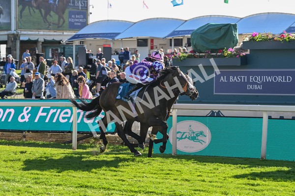 140525-Race 7-Great Bedwyn-3084 - Race 7 5.25pm Stuey Weston & Friends Getting Out Handicap
