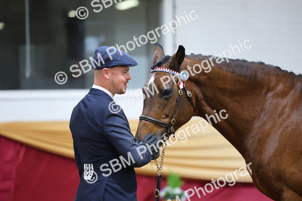 SBM_19708 - Class 901 - Supreme Final - IH Diamond