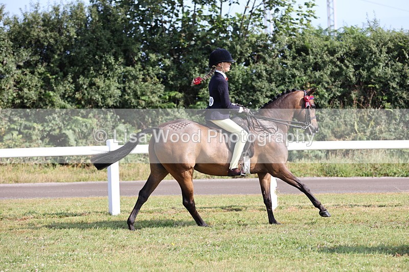JPP_0690 - Class 16: Cornish Combination Young Rider