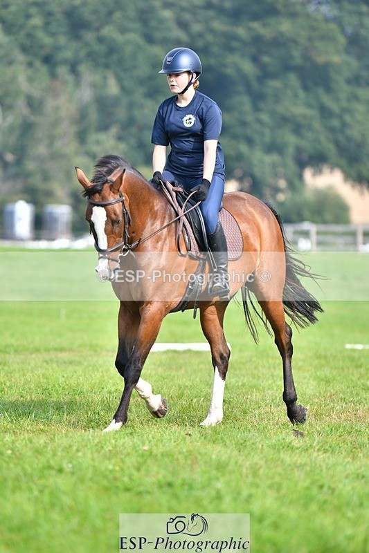 230817-093436-02600 - Abbie's 1st Group - Dressage