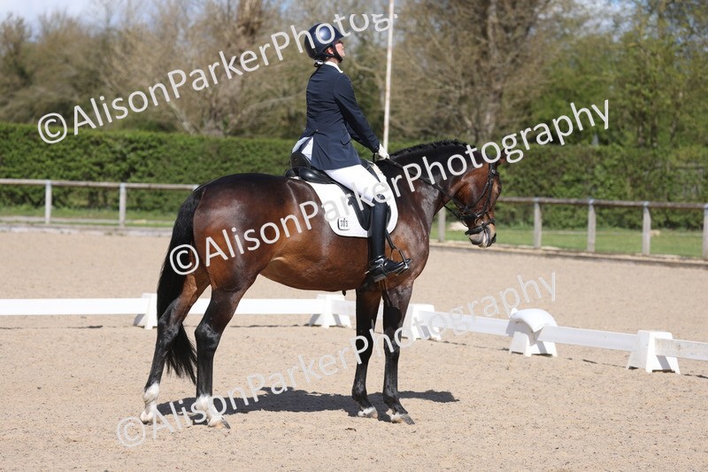 20260405-0605 - Class 7 - Medium 5