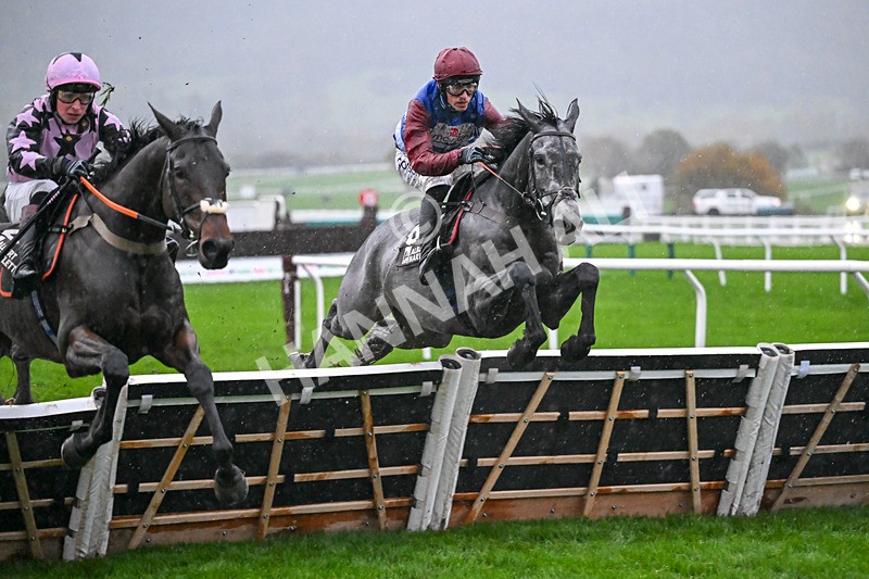 141125-Race 5-No Drama This End-0993 - Race 5