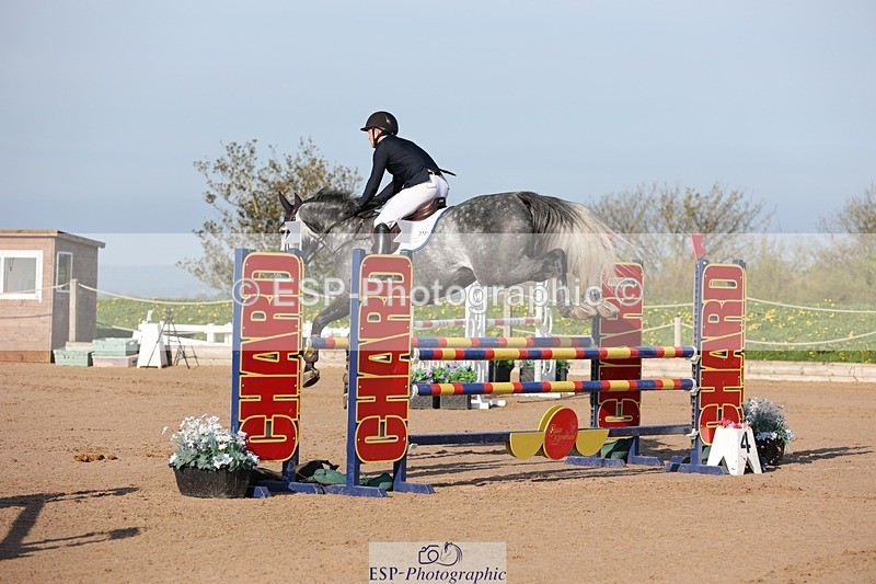 250427-084029-14585 - Cls 28 Young Horse 5yr old