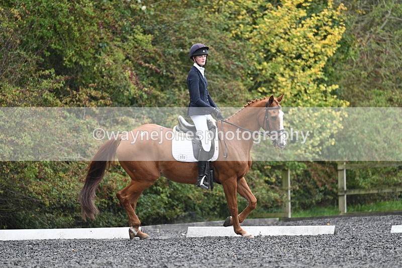 WJ7_6627 - Time 14:49 to 15:14