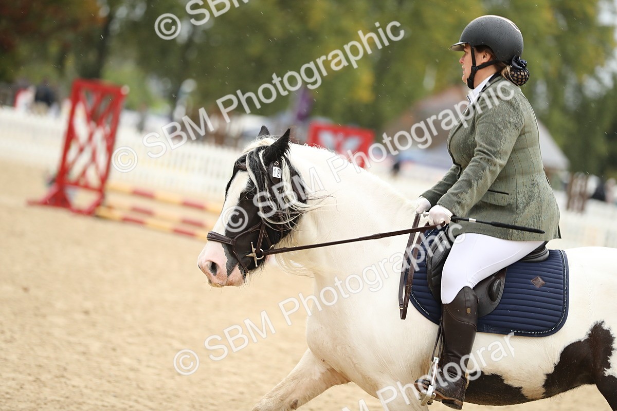 SBM_34425 - J60 Clear Round 50cm