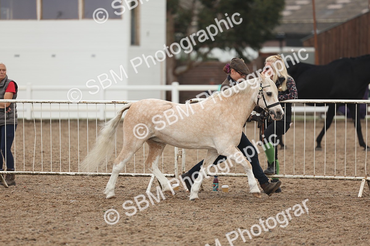 SBM_08448 - Class 29 - IH Veteran Pony