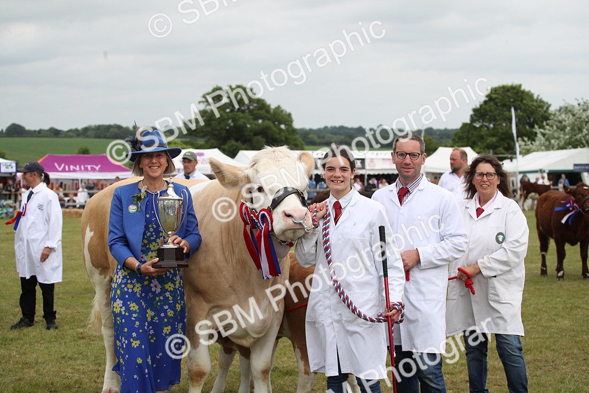 SBM_07898 - Grand Parade