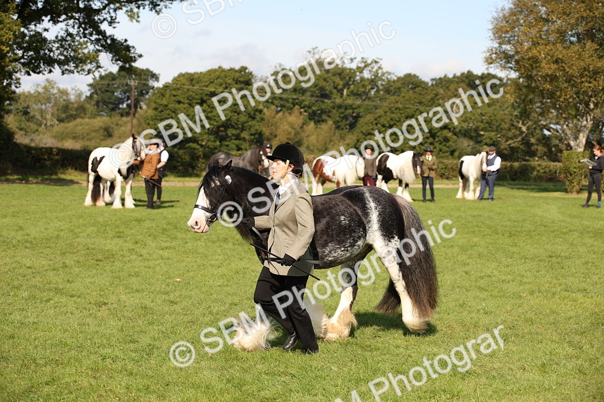 SBM_62255 - S55 - Traditional Cob In Hand