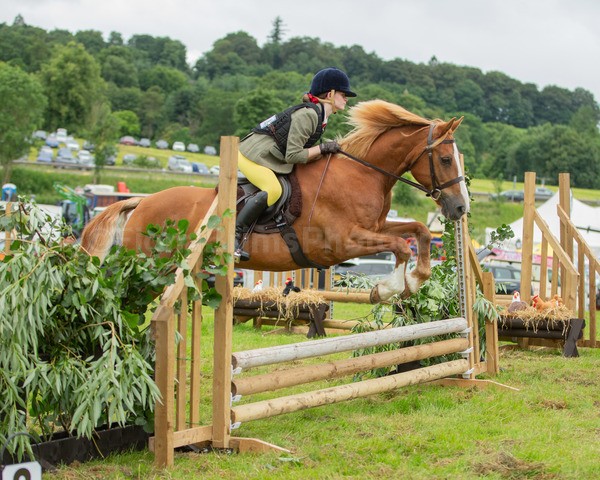Dunblane show-150 - Dunblane and Doune Show Ring 1