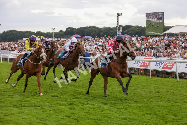 270724-Race 6-Ziggy-4803 - Race 6 5.10pm Sky Bet, For The Fans Handicap