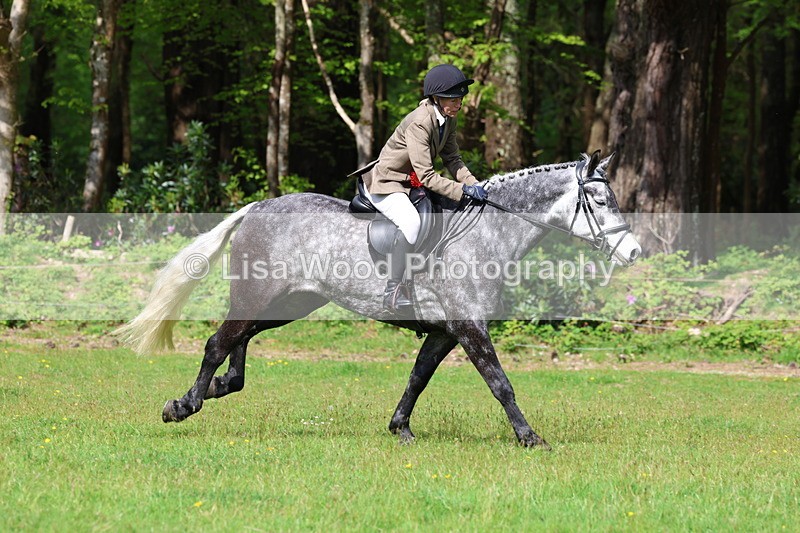 3E7A2696 - Working Hunter Championship