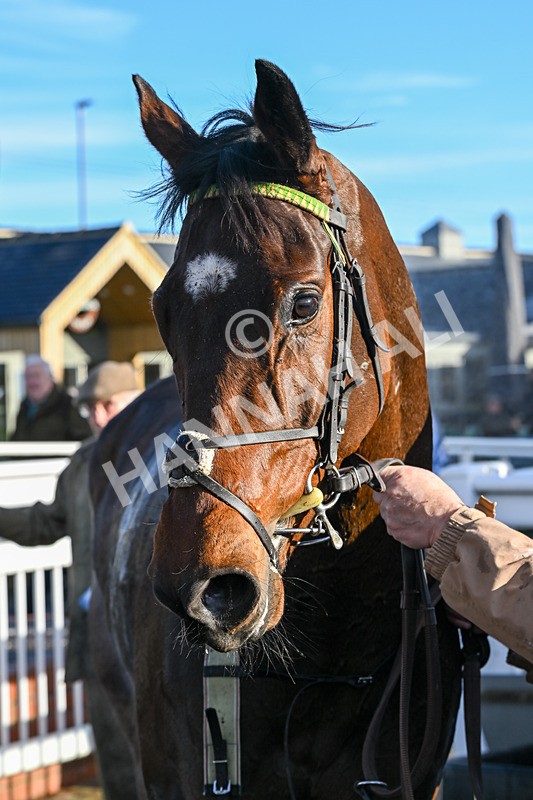 211125-Race 2-Indian River-7039 - Race 2