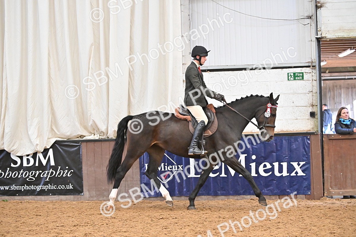 SBM_002332 - Class 22 - BSHA Ridden Hack & Riding Horse