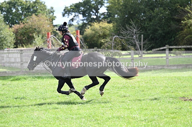 WJ7_0740 - Time 13:30 to 13:54