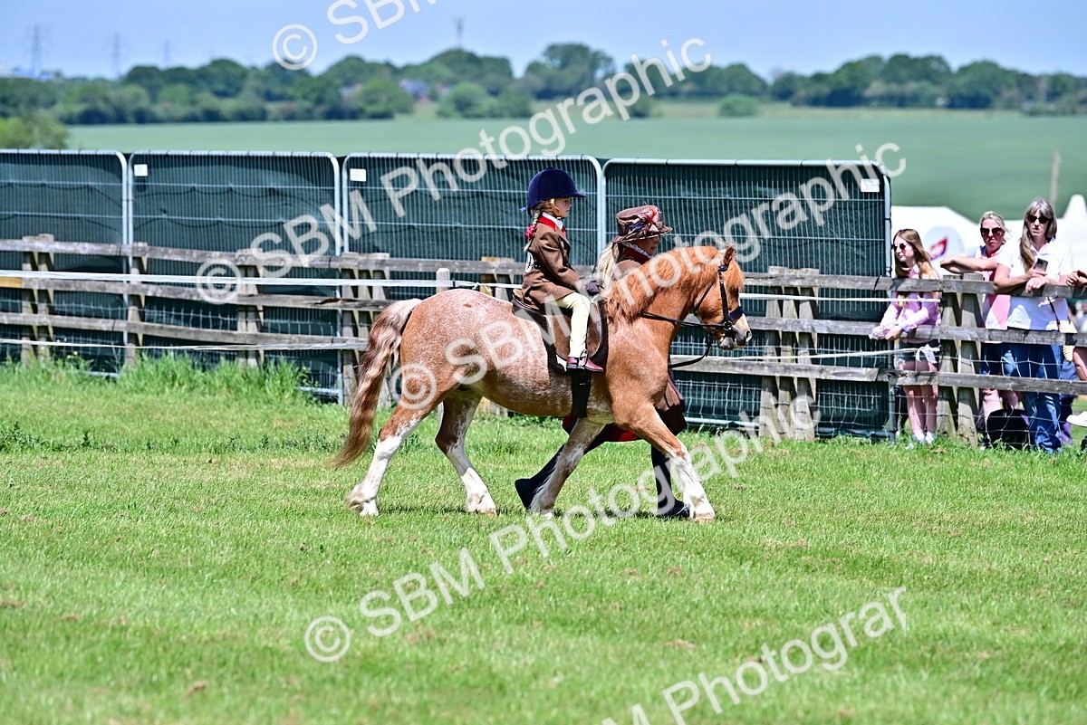 SBM_05848 - Class 59-60 - TSR M&M  Lear Rein and First Ridden Amateur of the year