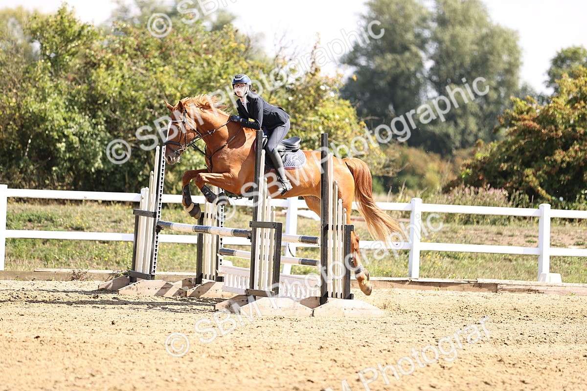 SBM_005843 - Class 9 - Senior British Novice - 90cm