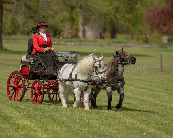 Attelage -925 - CIAT Glamis 2026