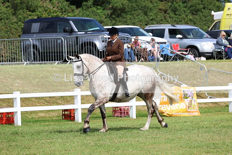 3E7A0206 - Class 6: Rising Star Maxi Cobs