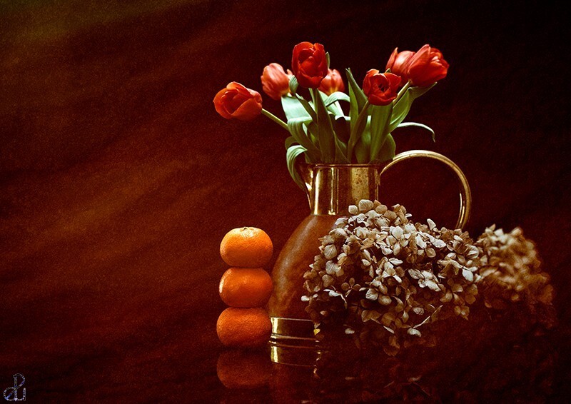 Tangerine Dream - Still Life and Composites