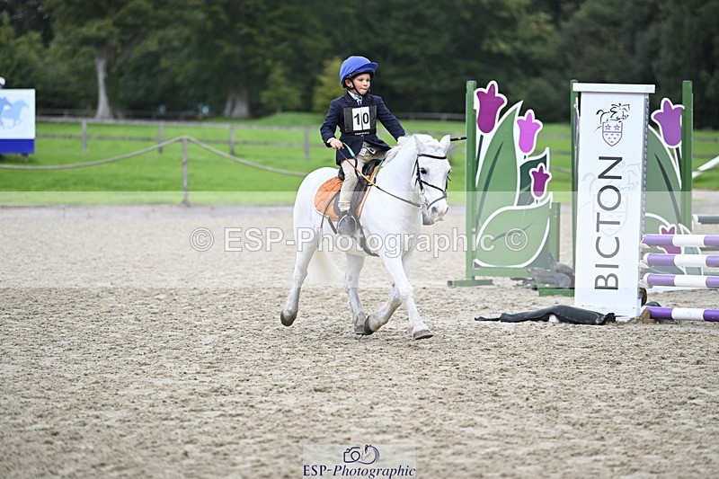 251005A-120710-03608 - Cls 08 Mini 70-75cm