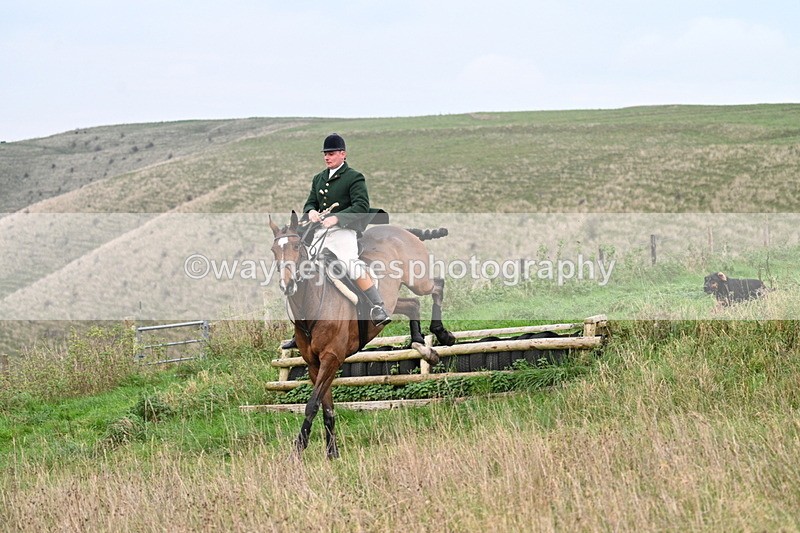WJ7_9847 - Camera 1 & Last fence