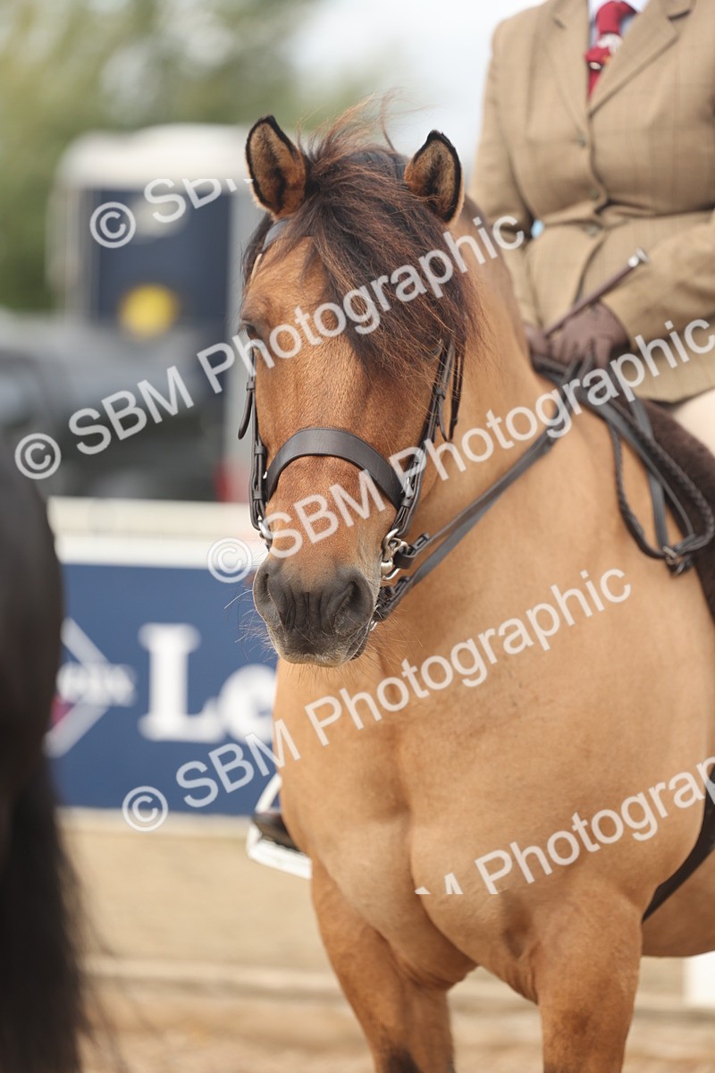 SBM_01967 - Class 14 - Ridden M&M Wildcard