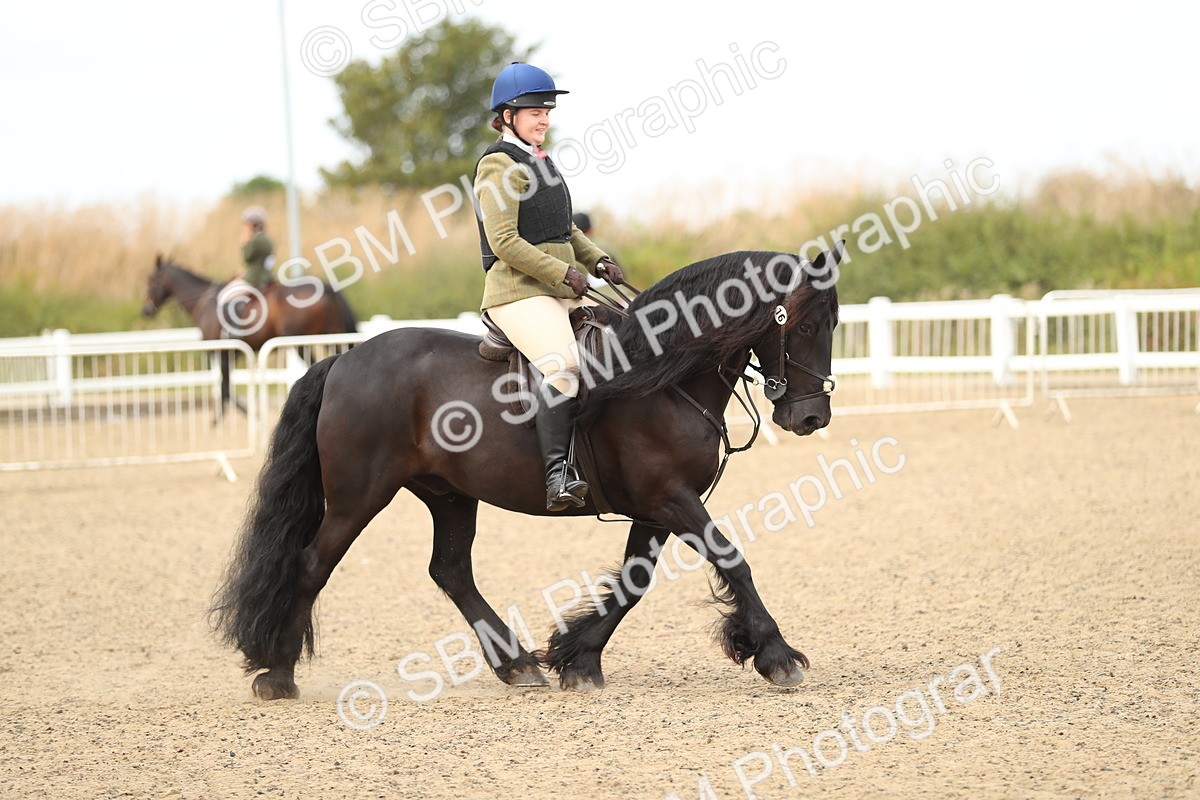 SBM_05590 - Class 48a Style & Performance 70cm (15-19)