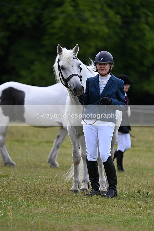 WJ7_7078 - Class 5a Most Handsome Gelding in Hand