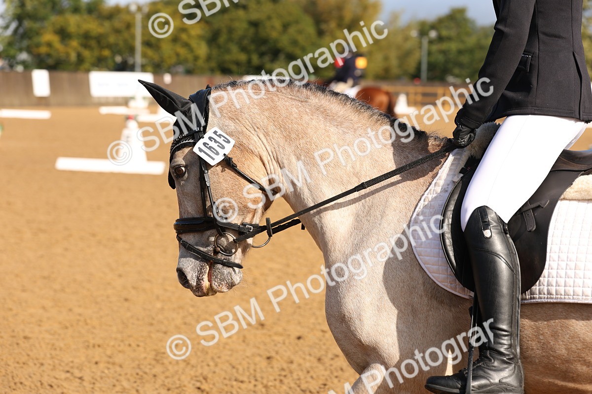 SBM_37534 - D18 - Grand Tour Championship Novice 2