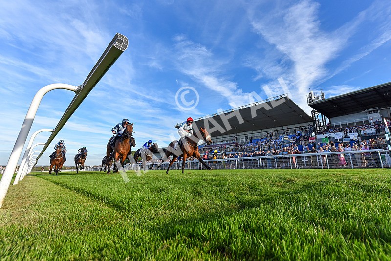 220926-Race 8-Horwich-7632 - Race 8 5.35pm End Of Season Handicap