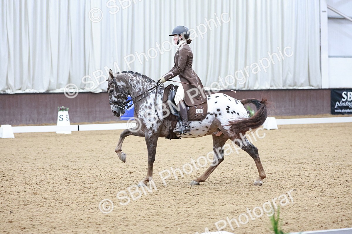 SBM_021384 - Class 14 - FEI Grand Prix - 17.40-18.34