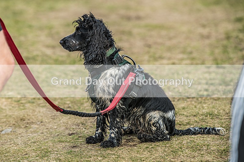 Helm Hill U9-2 - Kendal Winter League Helm Hill Under 9 Fell Race Sunday 16th March 2025
