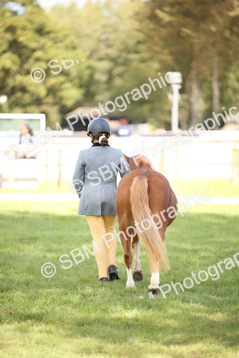 SBM_44451 - S24 - Young Veteran in hand