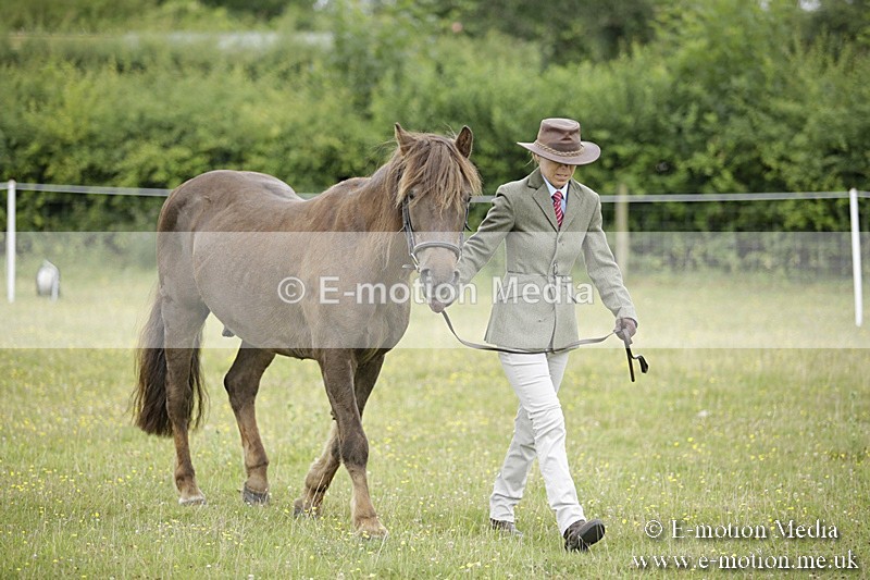 BVR160717-702 - Ring 2 BVRC Show 16/07/17