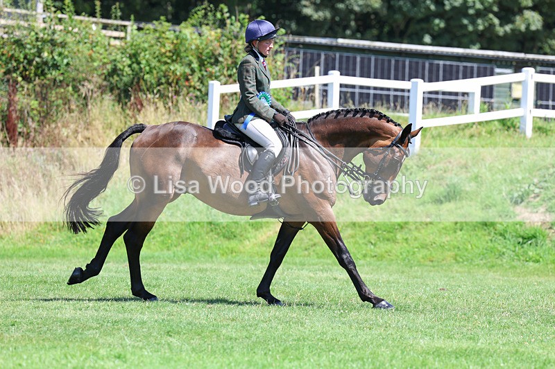 3E7A9169 - Working Hunter Championship