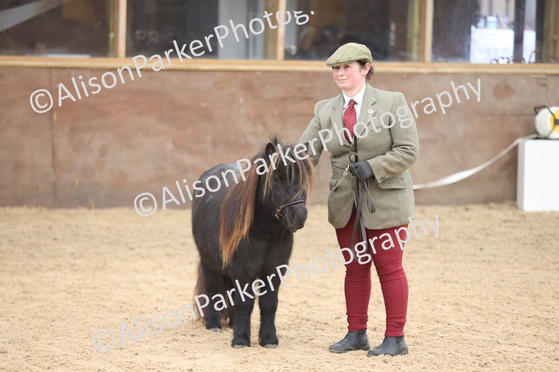 20251109-0253 - Class 11 - 2 and 3 Year Old