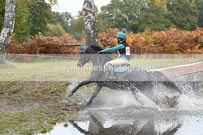 WJ7_1385 - 80cm Cam 2 Water Time 11:47 to 12:17