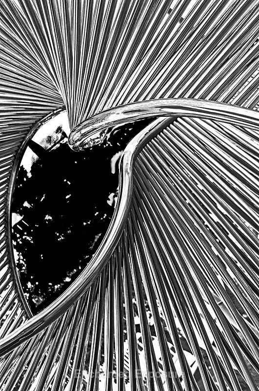 Behold The Eye - Architecture and Sculptures