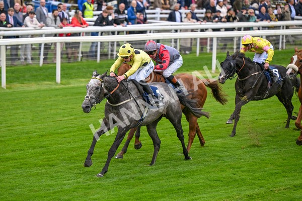 101025-Race 1-Ice Max-6198 - Race 1 William Hill Autumn Mile Handicap at York