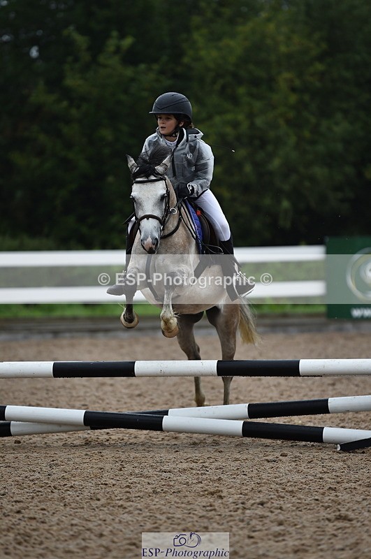 220829A-152858-00060 - Clear Round & 60cm  1a - 1b