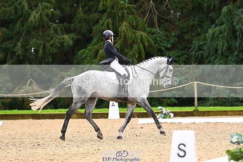 231021-135112-18575 - 248-KINGS.LANE-Liberty.Smith-DR