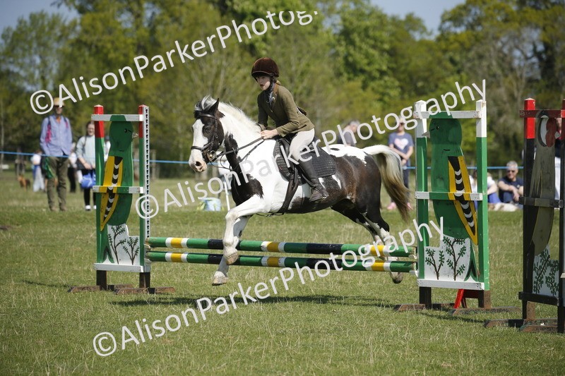 20250427-2198 - Class 13 - Novice Jumping 60cm